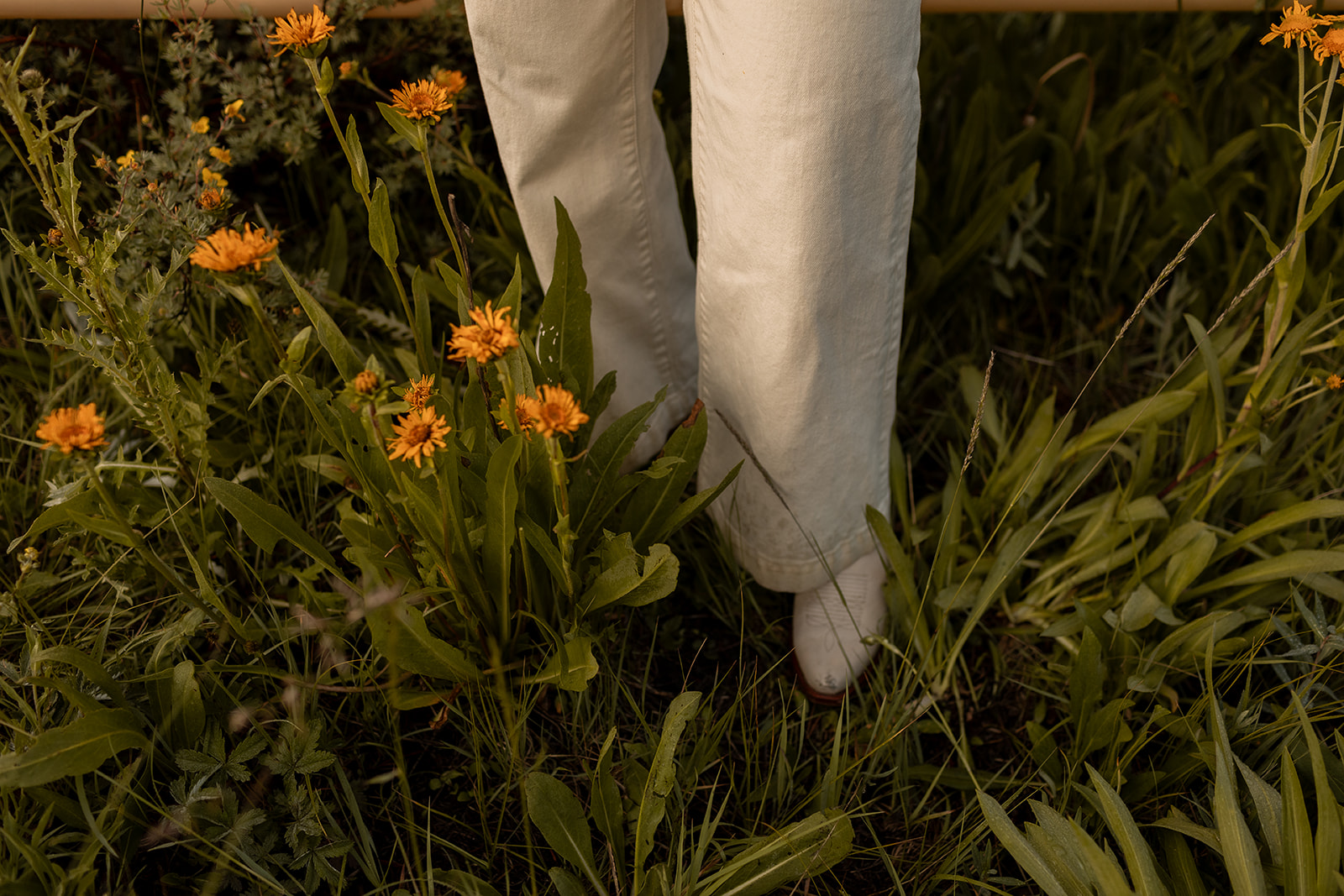 Standing among wildflowers — rooted in the work